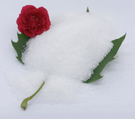 Millainen polyakryylamidi on tehokkaampi autonpesuj&auml;teveden k&auml;sittelyyn?