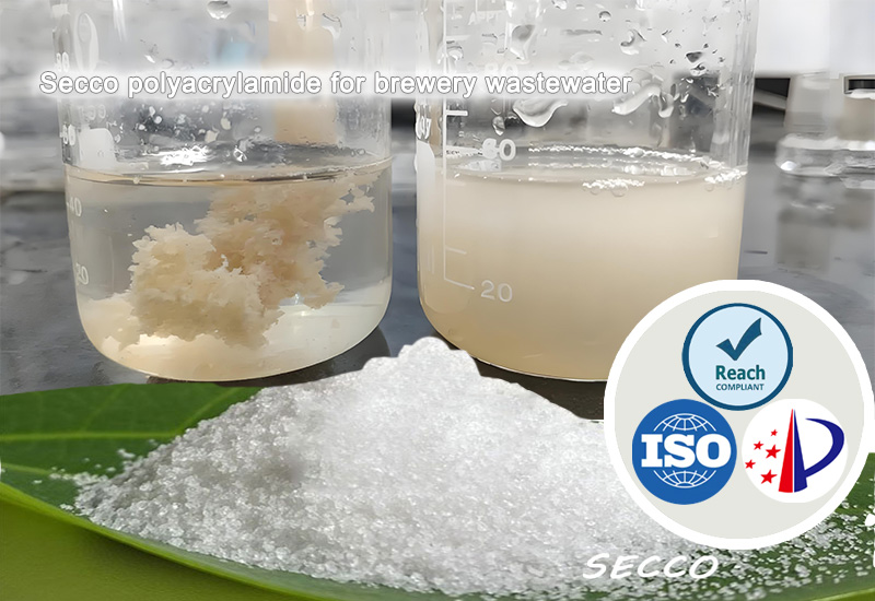 Polyakryylamidin (PAM) valinta ja tehokkuus panimoiden jäteveden käsittelyssä